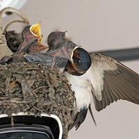 4�첻��С���೤����