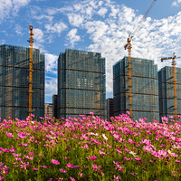 ���н���-�������