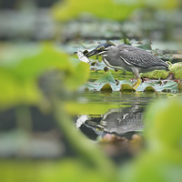 ץ������ȴ��Զ