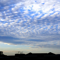 ������ϼ