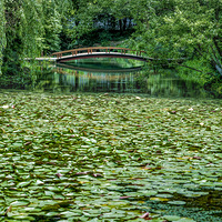 ���ݡ�����Ϫˮ��̬�޸���԰