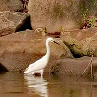 ����һһ������Ϣ��