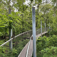 ���˵�Ӱ���ּǣ�����ͨͨ��10�ڼƻ�����һ������