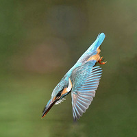 ������û���� Ŭ���ͺ���