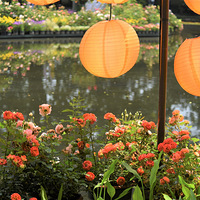 �������ҹ�ׯ���£�