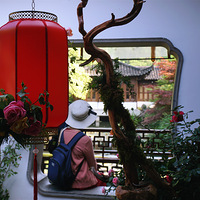 ������ϲ��