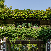 ���۹���