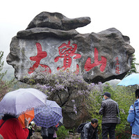 �������ɽ����