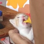 žžžʱèΪʲôܷŭѣΪ뵽Լֻ3