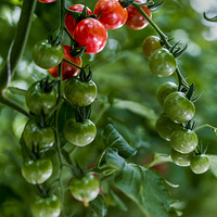 ����������塤ͩ®��ͩ���ֵ�÷�ش壨һ��