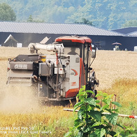 ���ĵ����￪��l