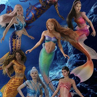 ��С�����㡷����Ʊ����367�򣬳ɵ�ʿ�������˽�֮��