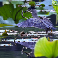 ����񽣣�һ�´̴������������ɽ������ץ��