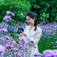 ���޲ݡ�����Ů