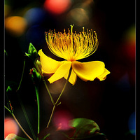 �³�˿˿�Ǻ޳�