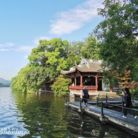 ������ƣ�������