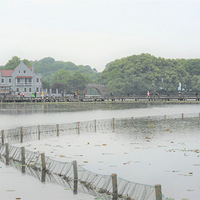 �������ģ�4��