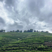 ��һ��˵�߾���