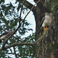 ����ȵ�Ҹϳูӥ