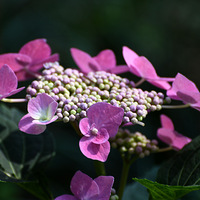 ����������