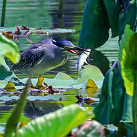 ץ�����Σ��������Σ��������ˡ������ɽ�����ز���