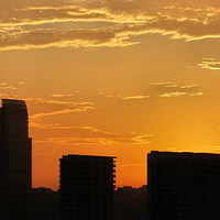 ������ճ�