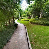 �峿���[���������С��