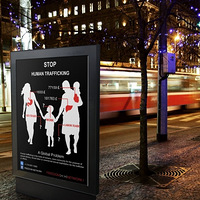 ����ڵ�Ӱ��