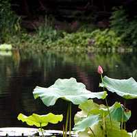 �����ɻ���������