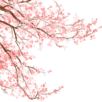 ����30Ԫ����ĩϷ������̨��6�����£�