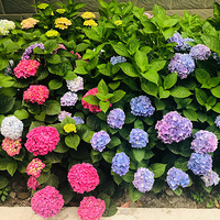 ������ô�����أ�