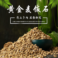 ������ô����ѽ��