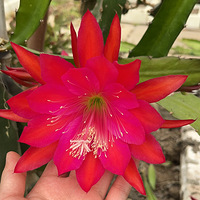 ���Ƕ������Ὺ����������ô��