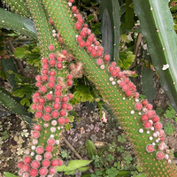 ���˻��������ƿ�̫����