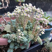 ����ͷ�۵��ǳ棡��������Щϣ���Դ���а�����