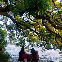 ���ߵĹ�����