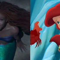 ��С�����㡷�й�Ʊ���˲��ˣ�����������ը���й����ھ������ӣ�