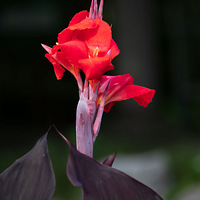 ���˽��ͺ�����