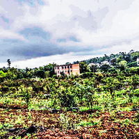 ���ݳ��Ͼ���48-��������ַ1