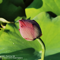 �ɰ���⺬������