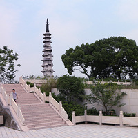 ������԰����������