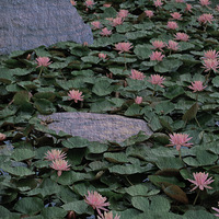 ż��һ��˯��