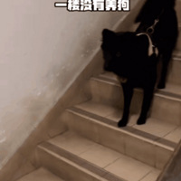 ڹһ1¥ʹβըë˲ԭ...ˣ
