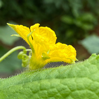 �������ţ���٣��Լ���һ���£�ȥ��ԭ�Ļ���������