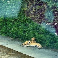 ӵ˵жȮȥȴ...զʵ
