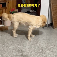 ھ²ܺų԰ʳȺֻë