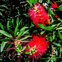 ���Ƿɲ������������� ��ԭ����һֻ̰���ĺ�����58��