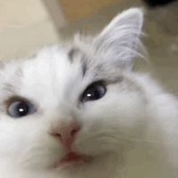 è˴ͨҽԺϷڡҾȹ