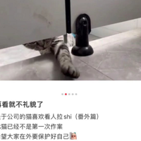 ޵Сèһᣬ˭֪2ŷԪ