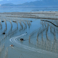 ����������ϼ��ɳ������